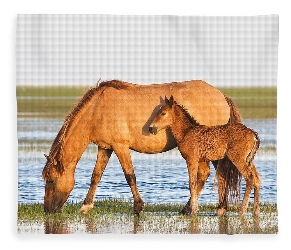 Wild Fleece Blanket featuring the photograph Mother and Foal by Bob Decker