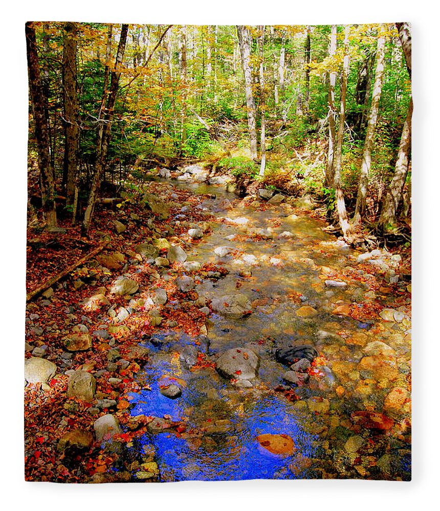 Mountain Streams Fleece Blanket featuring the photograph Mountain Stream Covered With Fall Leaves by Eunice Miller