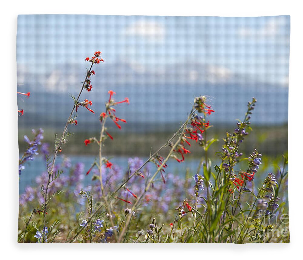 Botanic Fleece Blanket featuring the photograph Mountain Wildflowers by Juli Scalzi