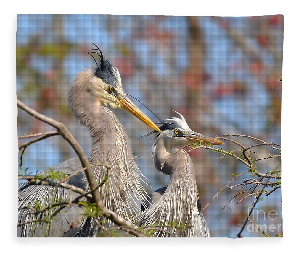 Heron Fleece Blanket featuring the photograph Mr. And Mrs. by Kathy Baccari