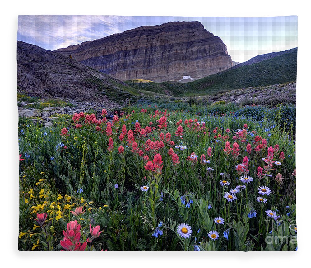 Mount Timpanogos Fleece Blanket featuring the photograph Mt. Timpanogos Wildflowers at Sunset by Gary Whitton