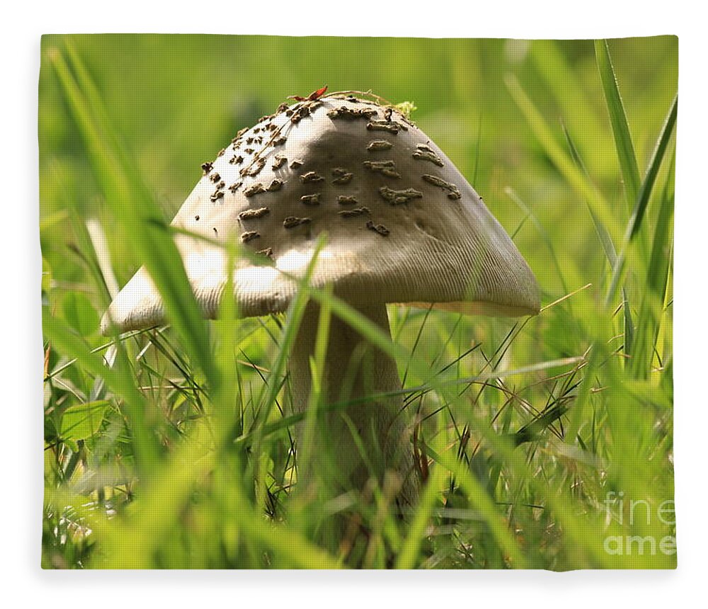 Agaric Fleece Blanket featuring the photograph Mushroom in the grass by Amanda Mohler