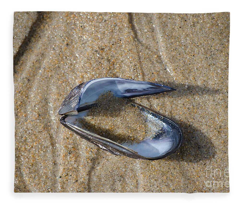 Mussel Fleece Blanket featuring the photograph Mussel Shell on the Beach by Neil Taitel