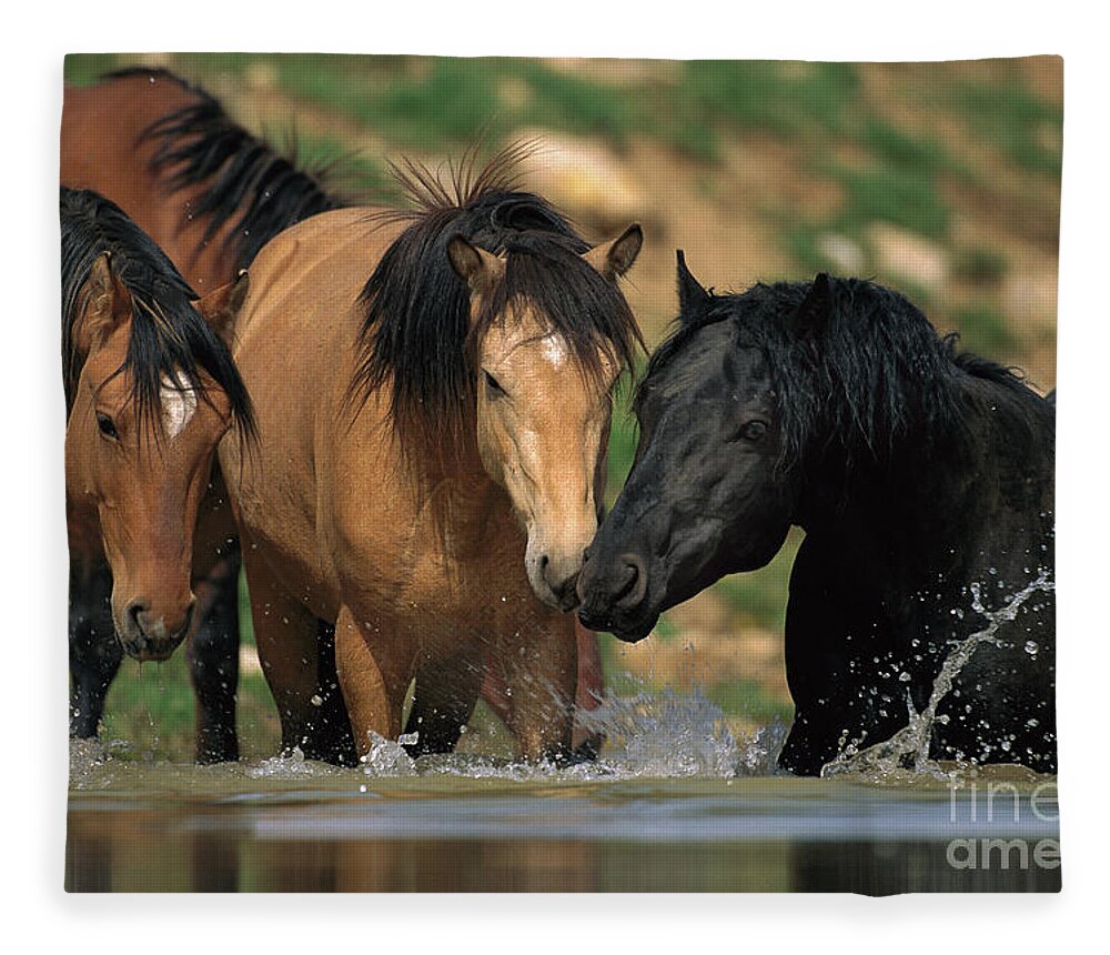 00340043 Fleece Blanket featuring the photograph Mustangs At Waterhole In Summer by Yva Momatiuk and John Eastcott