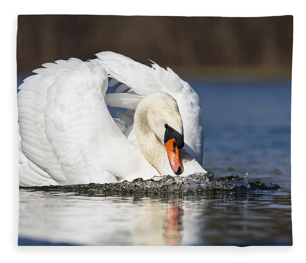 Feb0514 Fleece Blanket featuring the photograph Mute Swan In Defensive Posture Bavaria by Konrad Wothe
