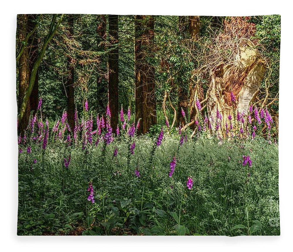 Mystic Fleece Blanket featuring the photograph Mystical Woods by MSVRVisual Rawshutterbug