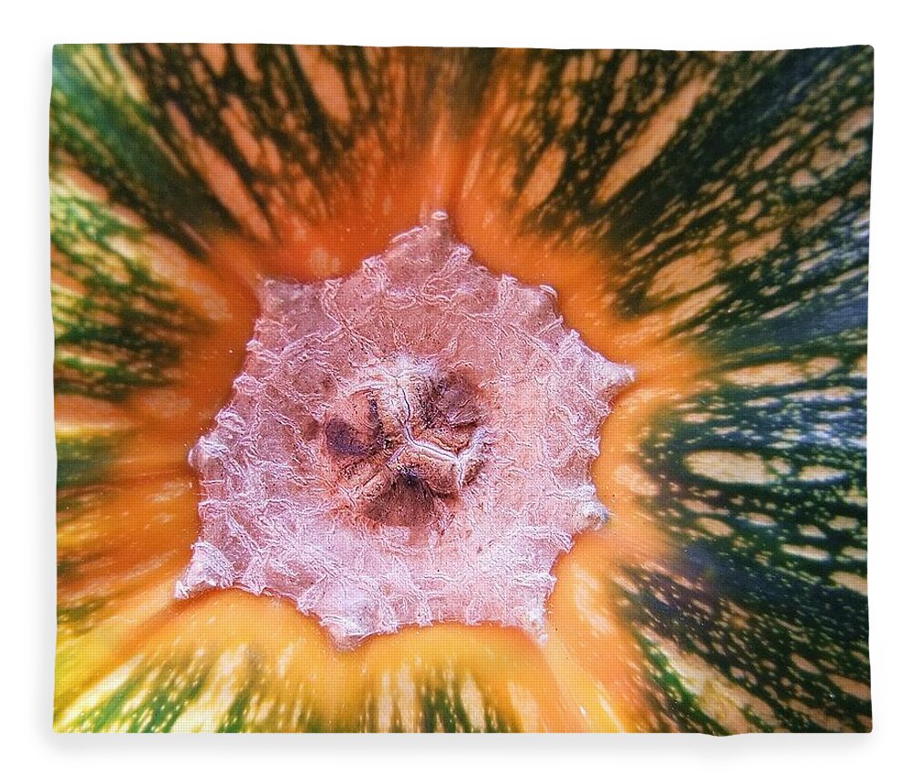 Nature Fleece Blanket featuring the photograph Pumpkin Abstract by Kae Cheatham