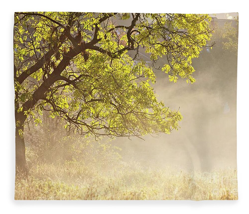 Tree Fleece Blanket featuring the photograph Nebulous tree by Heiko Koehrer-Wagner