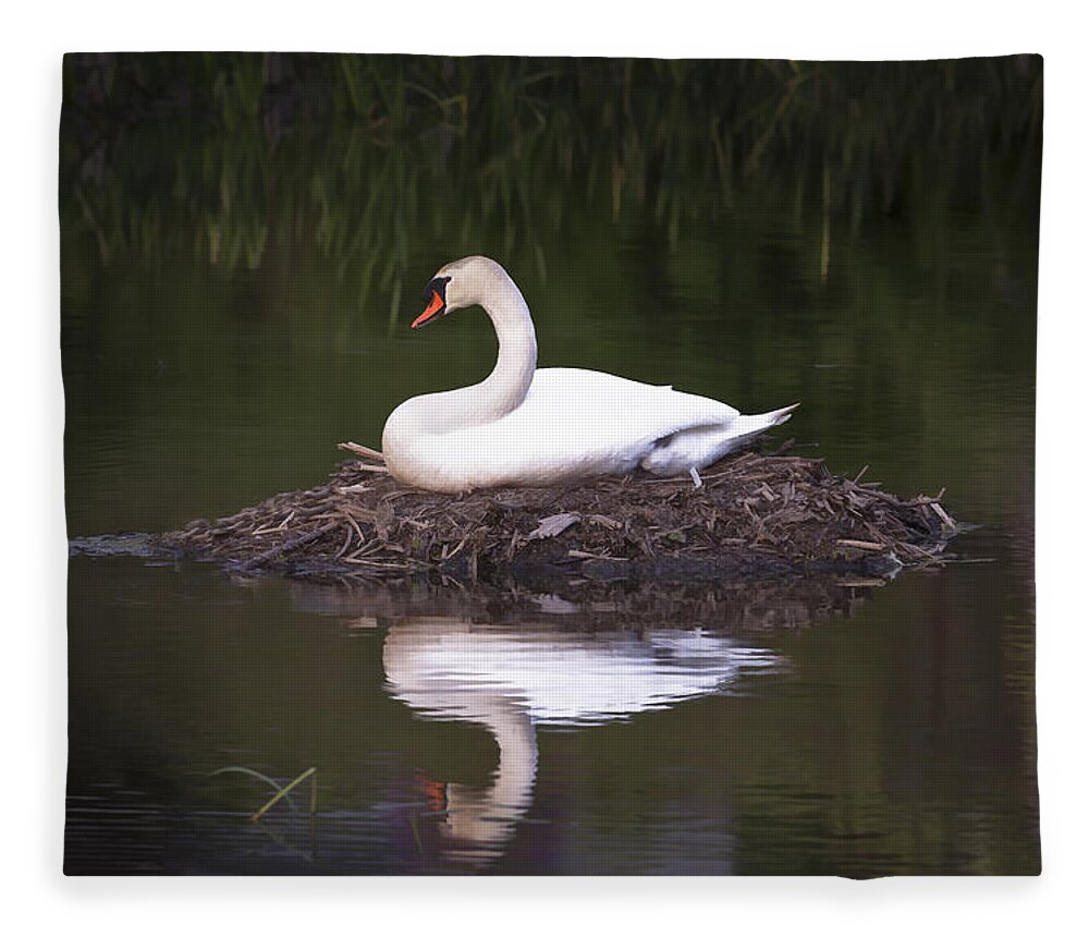 Animal Fleece Blanket featuring the photograph Nesting Swan by Jack R Perry