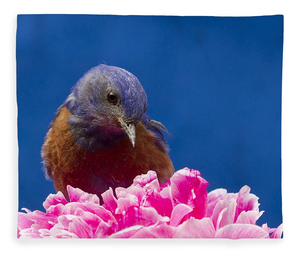 Animals Fleece Blanket featuring the photograph Nice flower by Jean Noren