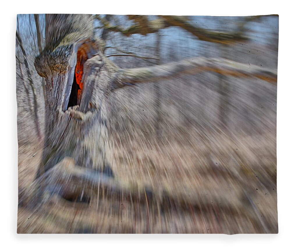 Grant Woods Fleece Blanket featuring the photograph No Escape by Jim Shackett