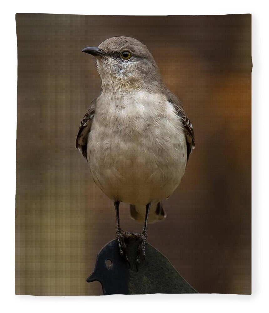 Northern Mockingbird Fleece Blanket featuring the photograph Northern Mockingbird by Robert L Jackson