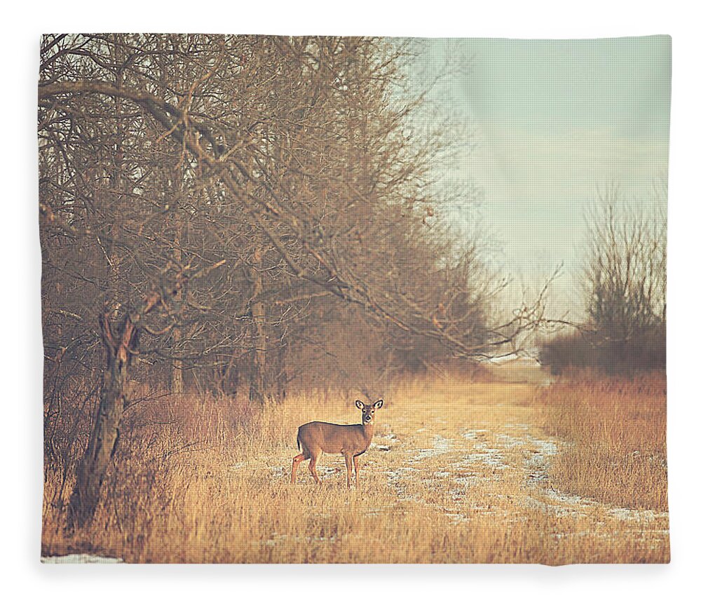 November Fleece Blanket featuring the photograph November Deer by Carrie Ann Grippo-Pike