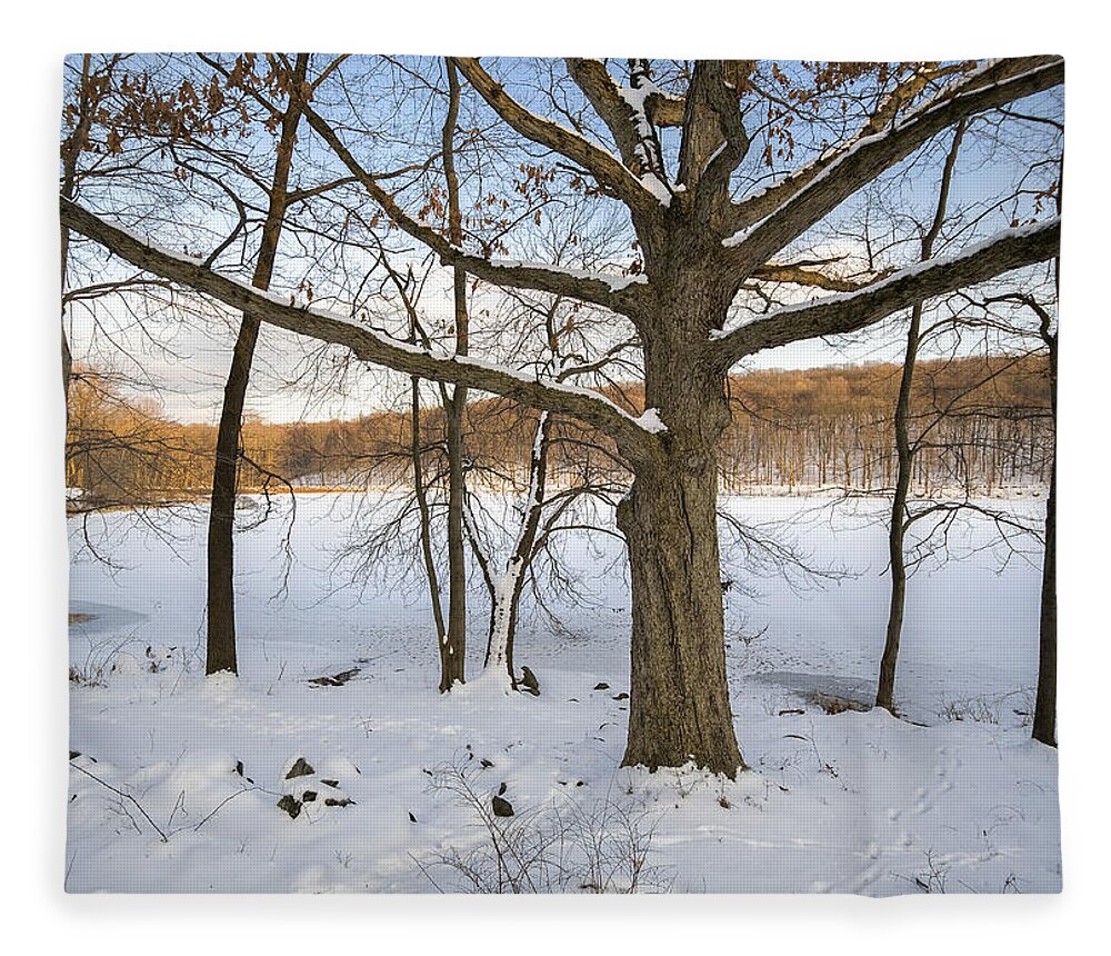 Landscape Fleece Blanket featuring the photograph Oak Tree in Snow I by Marianne Campolongo