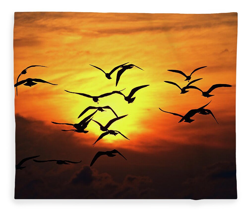 Animal Themes Fleece Blanket featuring the photograph Ode To Birds by Work By Zach Dischner