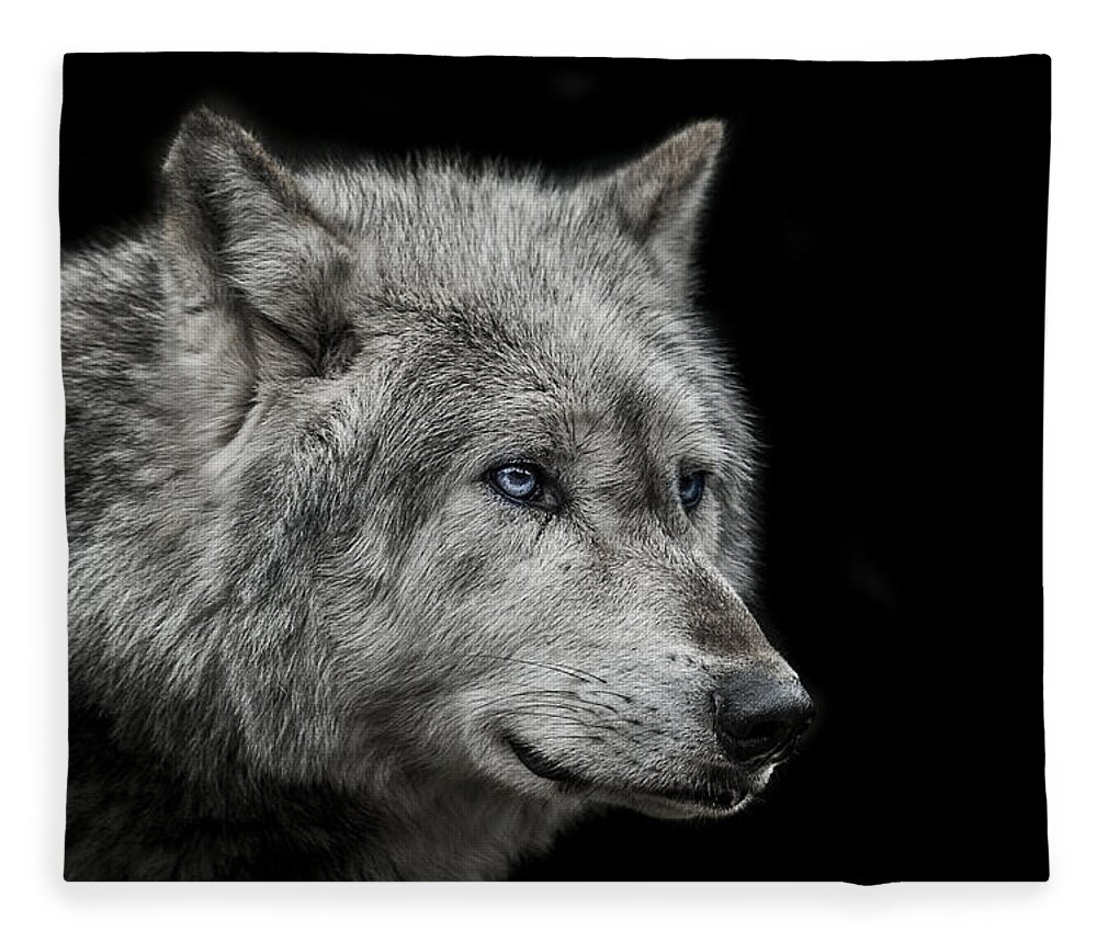 Wolf Fleece Blanket featuring the photograph Old blue eyes by Paul Neville