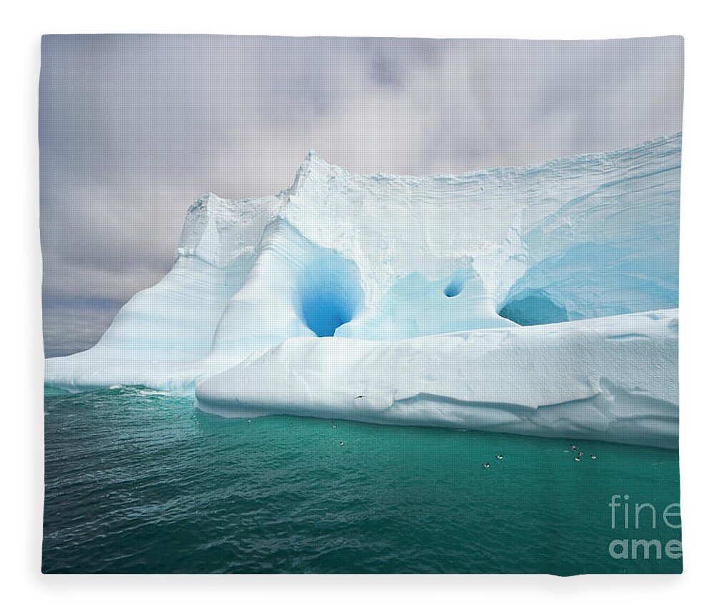 00346003 Fleece Blanket featuring the photograph Blue Iceberg Near South Georgia by Yva Momatiuk John Eastcott