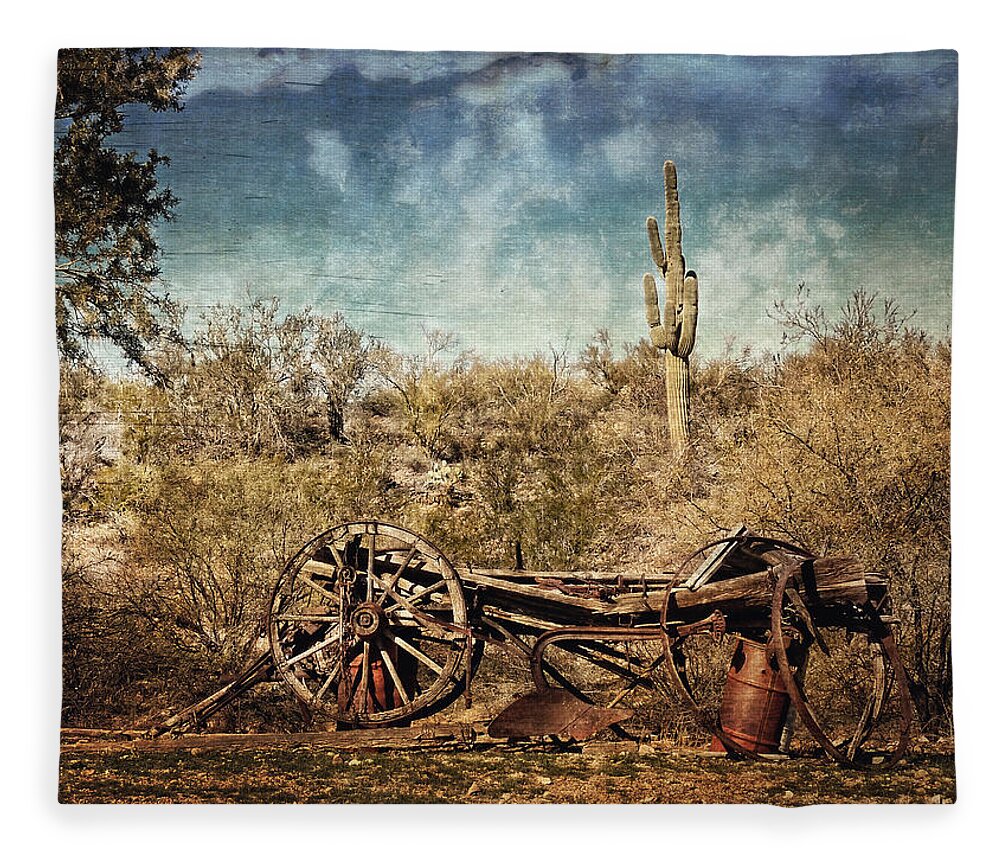 Landscape Fleece Blanket featuring the photograph Old Wagon by Lucinda Walter