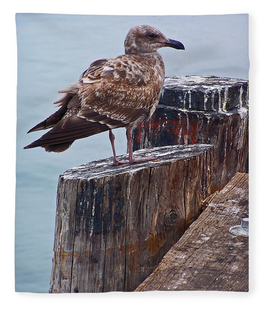 California Fleece Blanket featuring the photograph On the Pier by Jennifer Robin