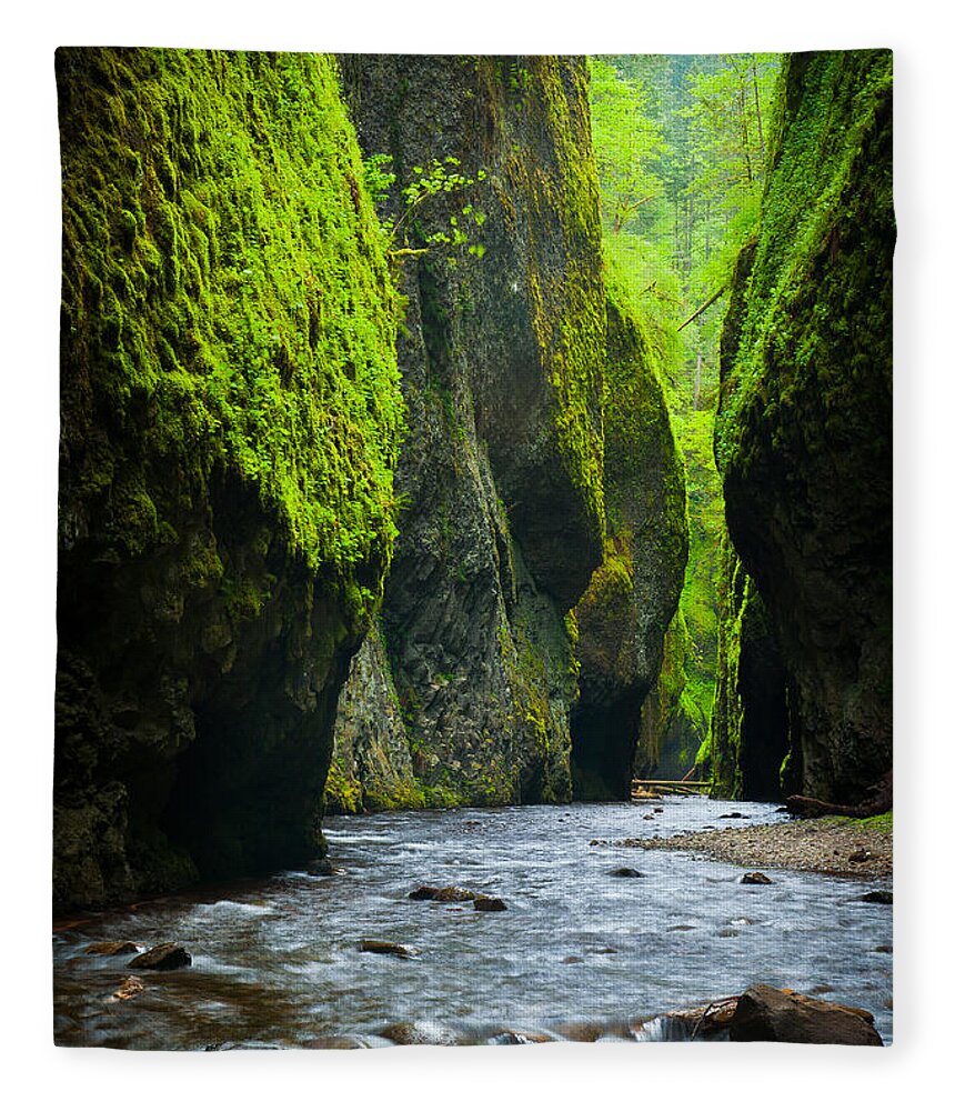America Fleece Blanket featuring the photograph Oneonta River Gorge by Inge Johnsson