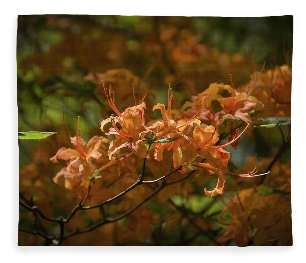 Azalea Fleece Blanket featuring the photograph Orange Azaleas by Penny Lisowski