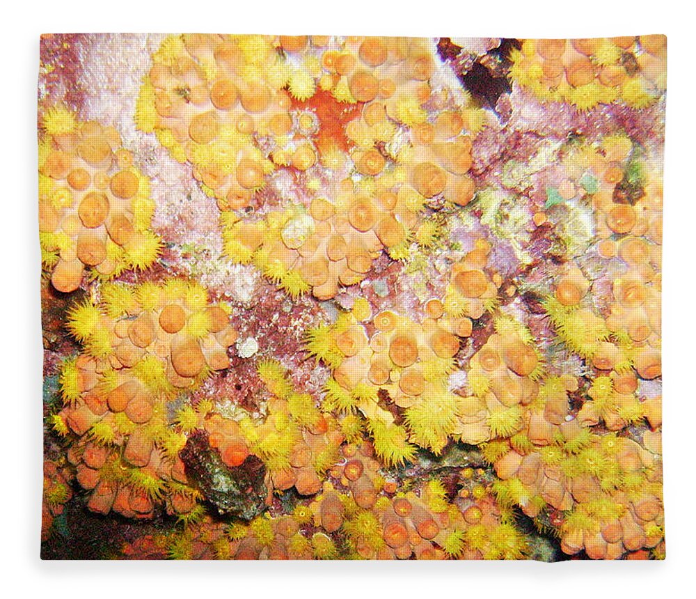 Ocean Fleece Blanket featuring the photograph Orange Cups by Lynne Browne