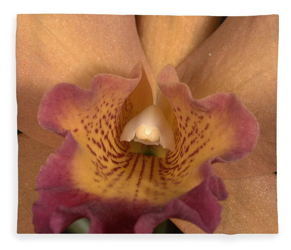 Orchid Fleece Blanket featuring the photograph Orchid 477 by Wesley Elsberry