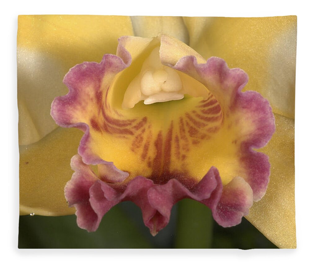 Orchid Fleece Blanket featuring the photograph Orchid 478 by Wesley Elsberry