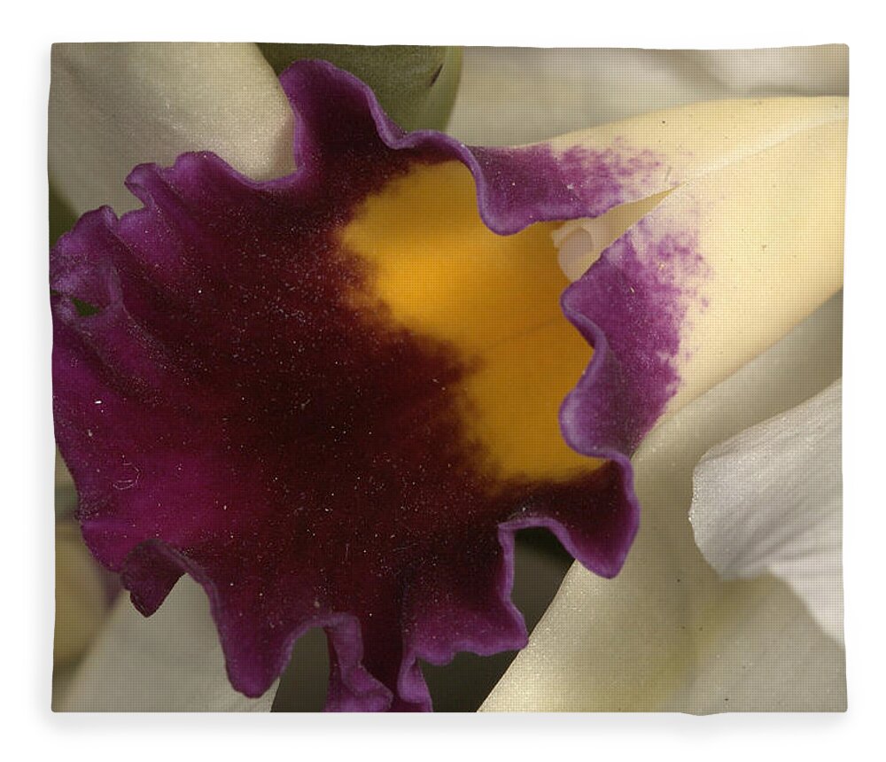 Orchid Fleece Blanket featuring the photograph Orchid 502 by Wesley Elsberry
