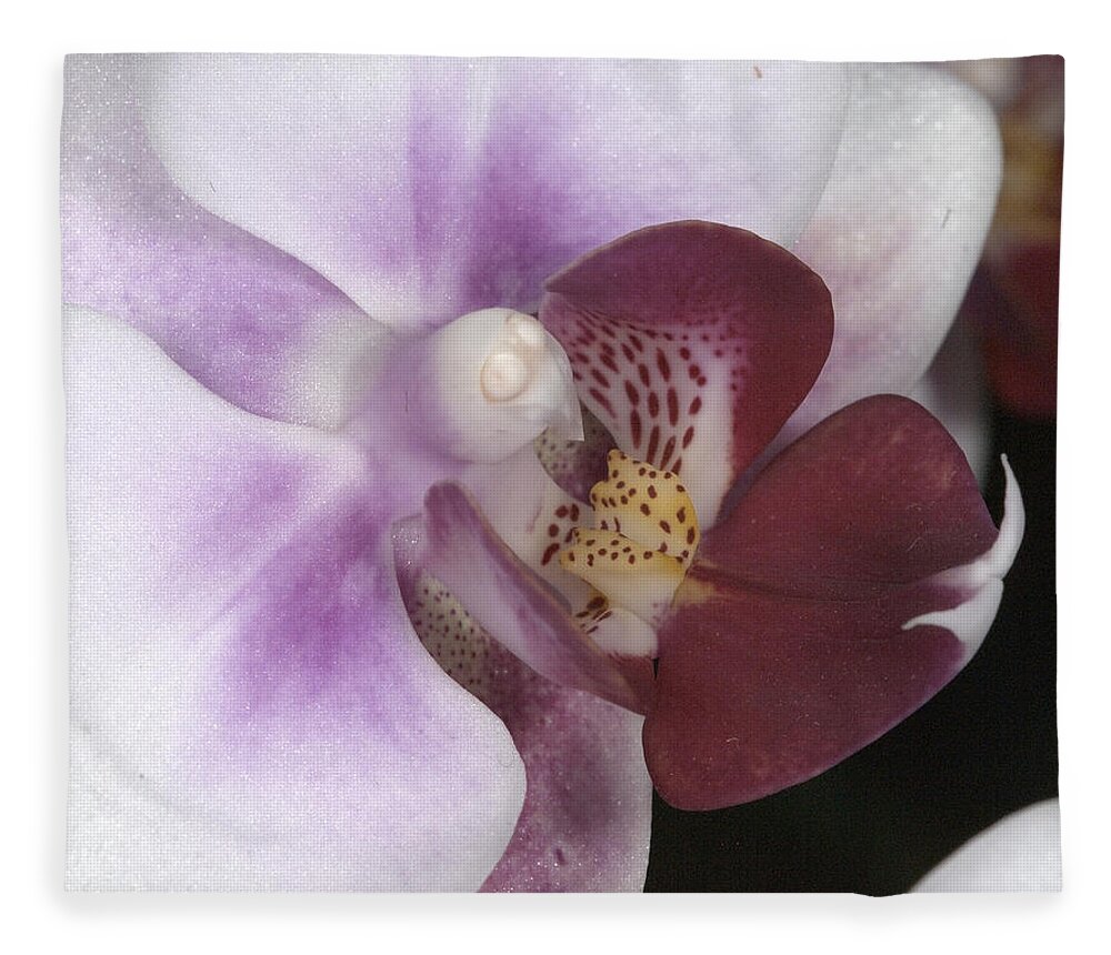 Orchid Fleece Blanket featuring the photograph Orchid 503 by Wesley Elsberry