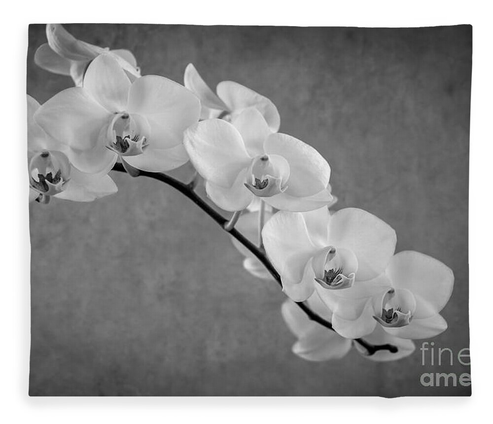 Asia Fleece Blanket featuring the photograph Orchid Bw by Hannes Cmarits