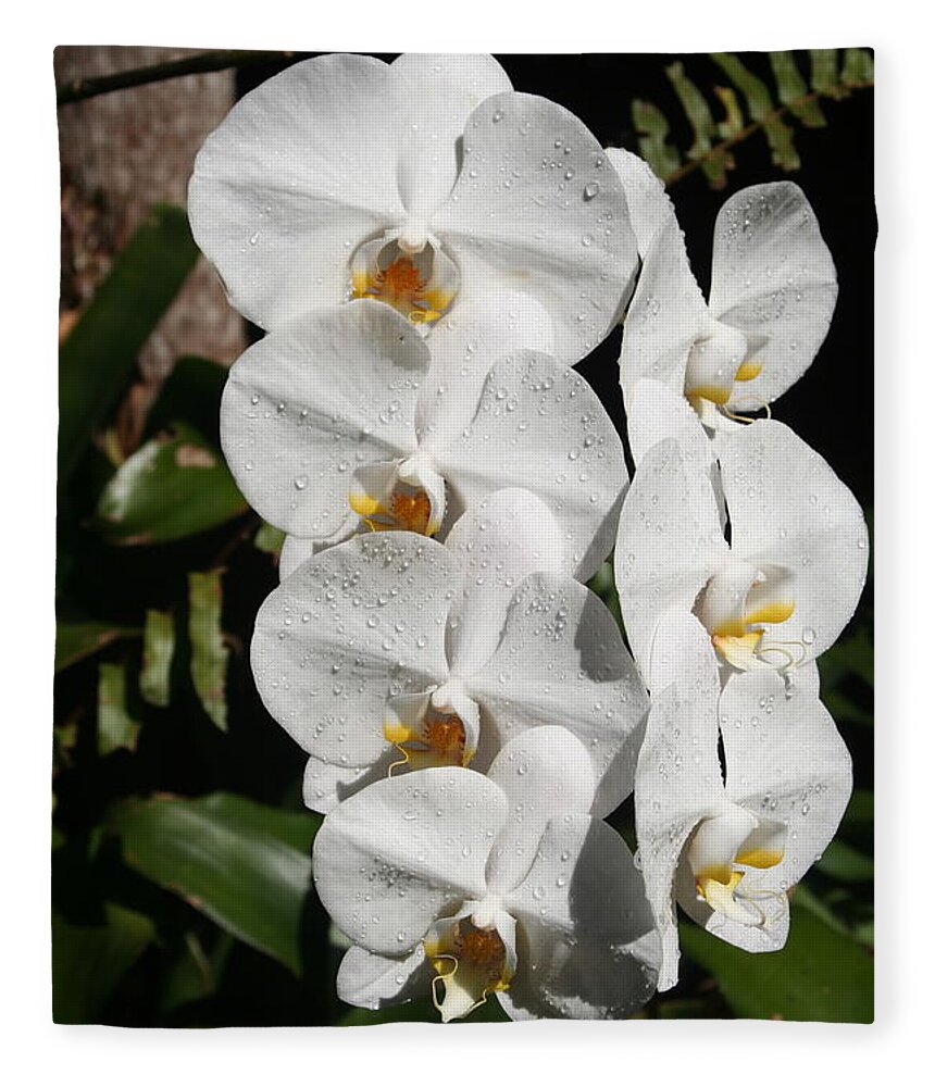 Orchid Fleece Blanket featuring the photograph Orchids Anna by Alice Terrill