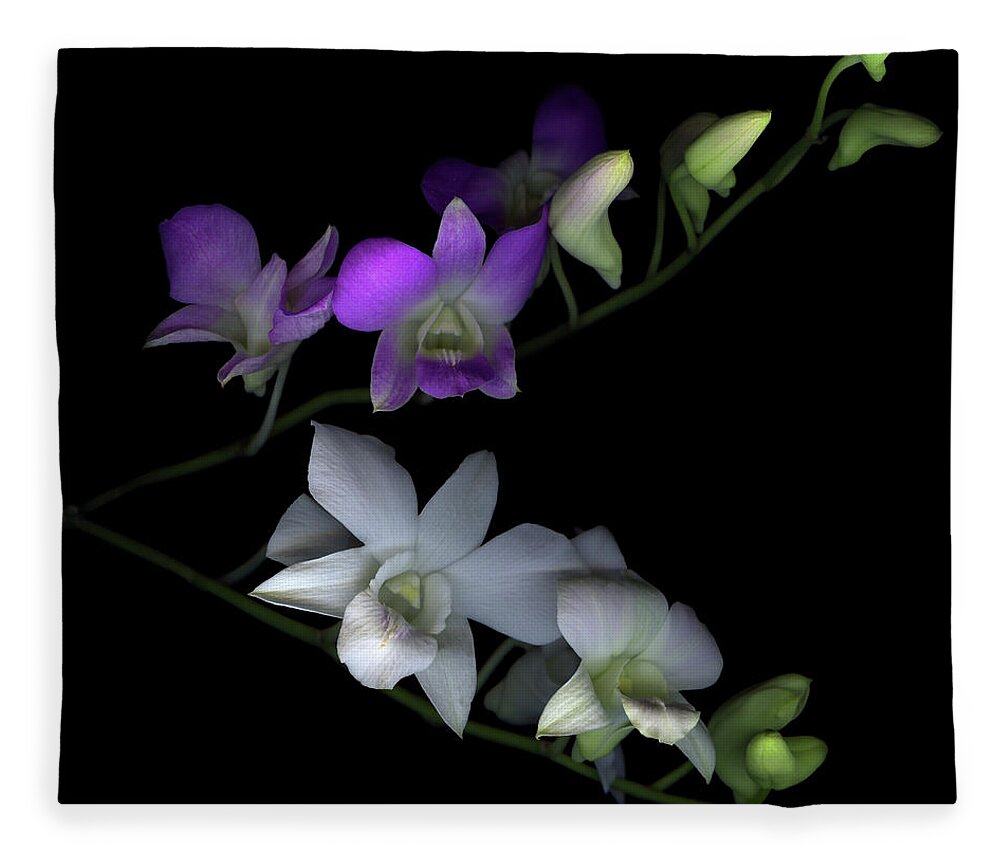 Purple Fleece Blanket featuring the photograph Orchids by Photograph By Magda Indigo