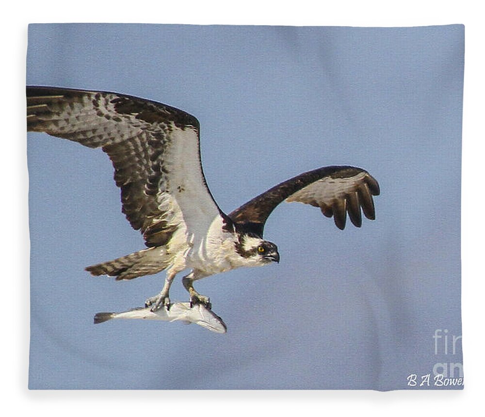 Osprey Fleece Blanket featuring the photograph Osprey with dinner by Barbara Bowen