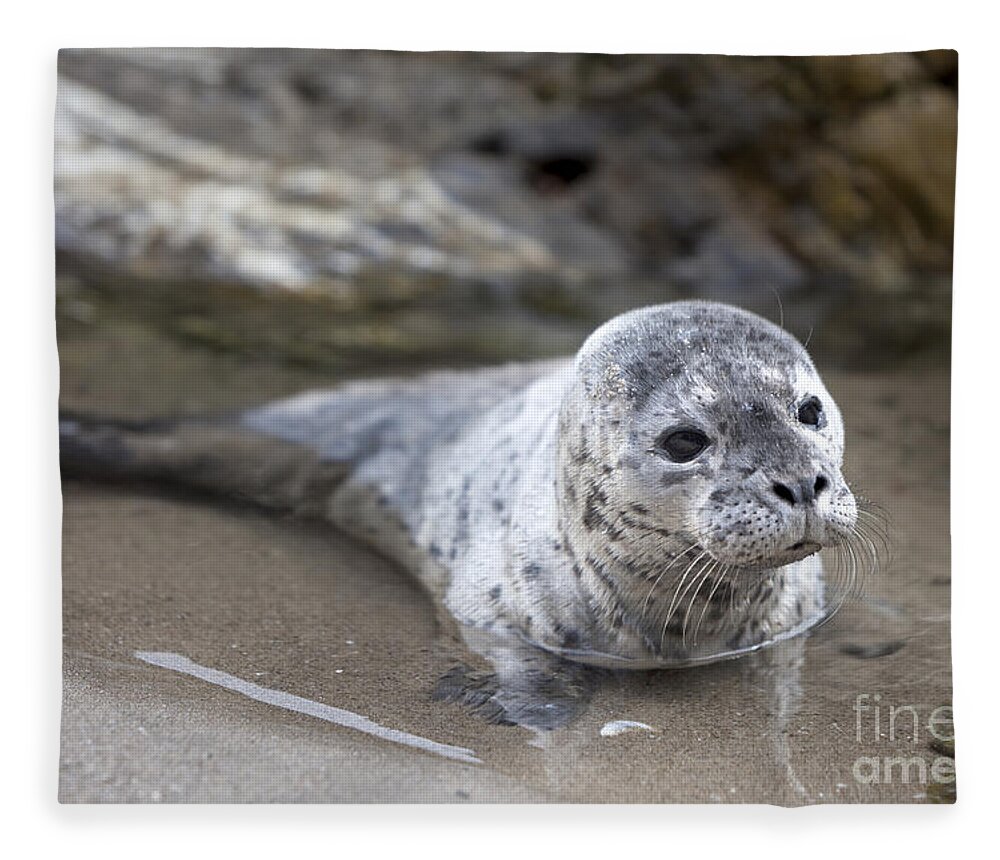 Out For A Swim Fleece Blanket featuring the photograph Out for a swim by David Millenheft