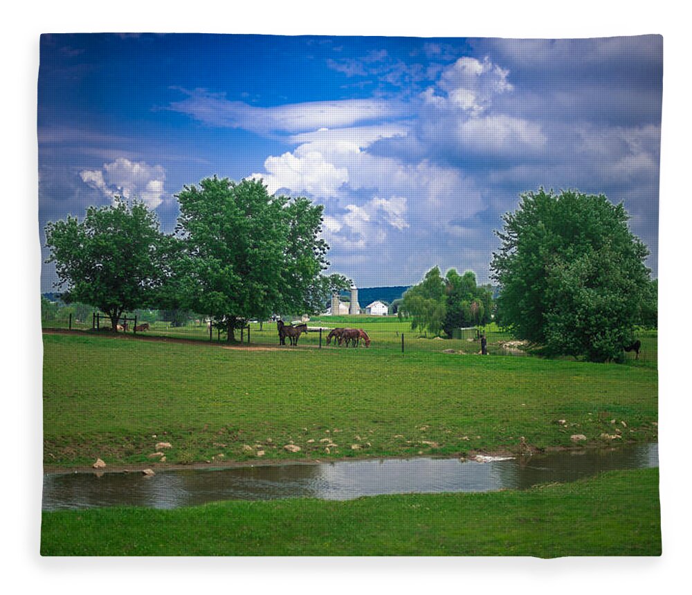 Farm Fleece Blanket featuring the photograph Out to Pasture by Joseph Desiderio