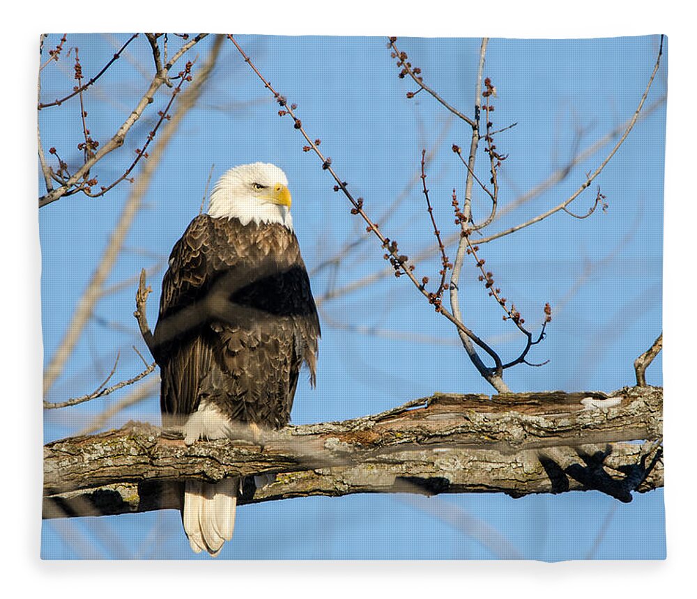Wisconsin Fleece Blanket featuring the photograph Overlooking Freedom by Wild Fotos