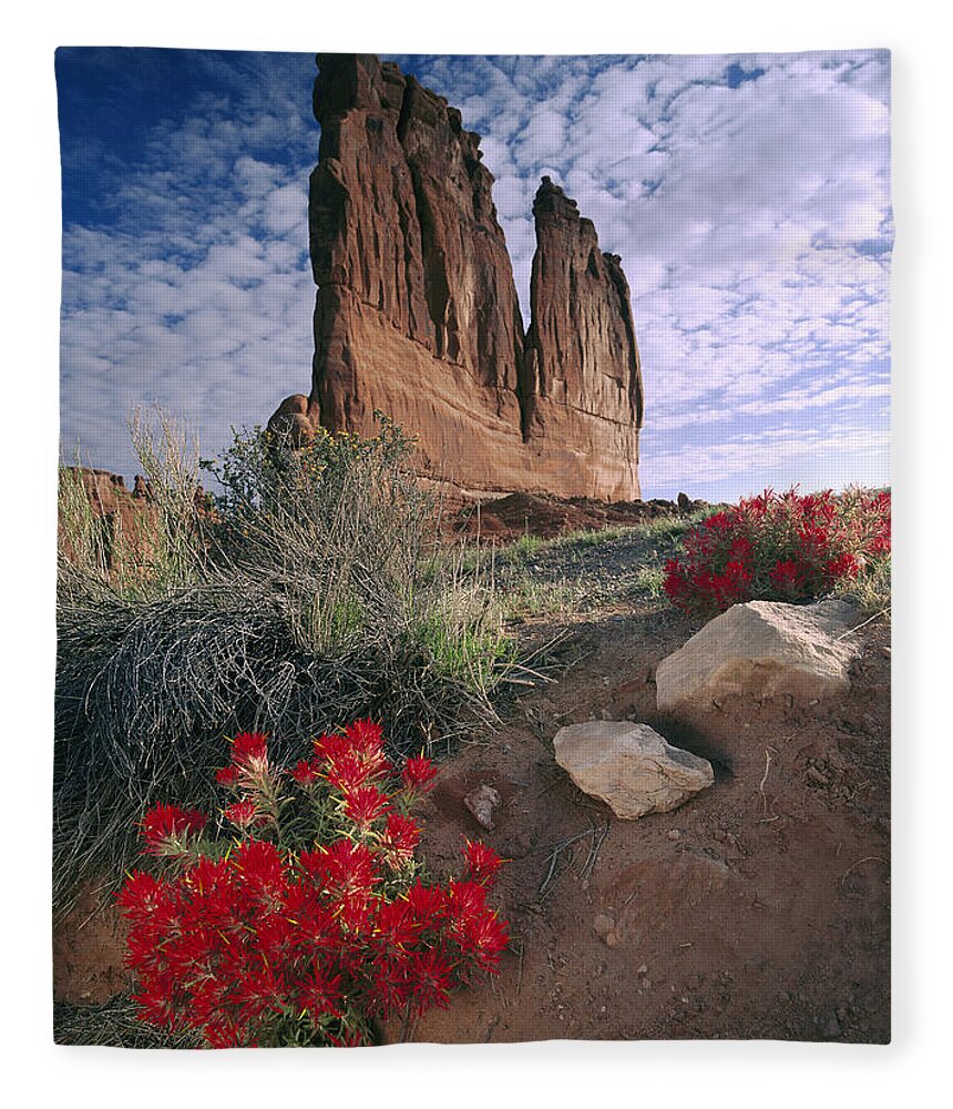 00175001 Fleece Blanket featuring the photograph Paintbrush and Organ Rock by Tim Fitzharris