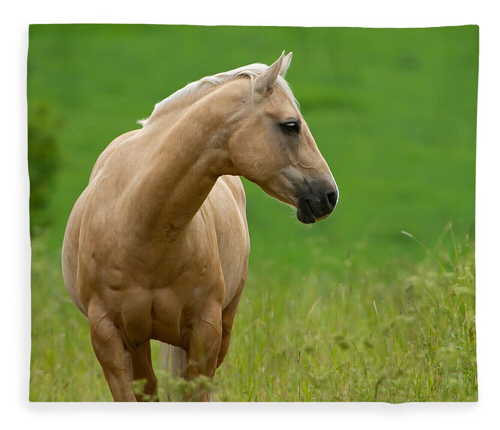 Pale Brown Horse Fleece Blanket featuring the photograph Pale Brown Horse by Torbjorn Swenelius