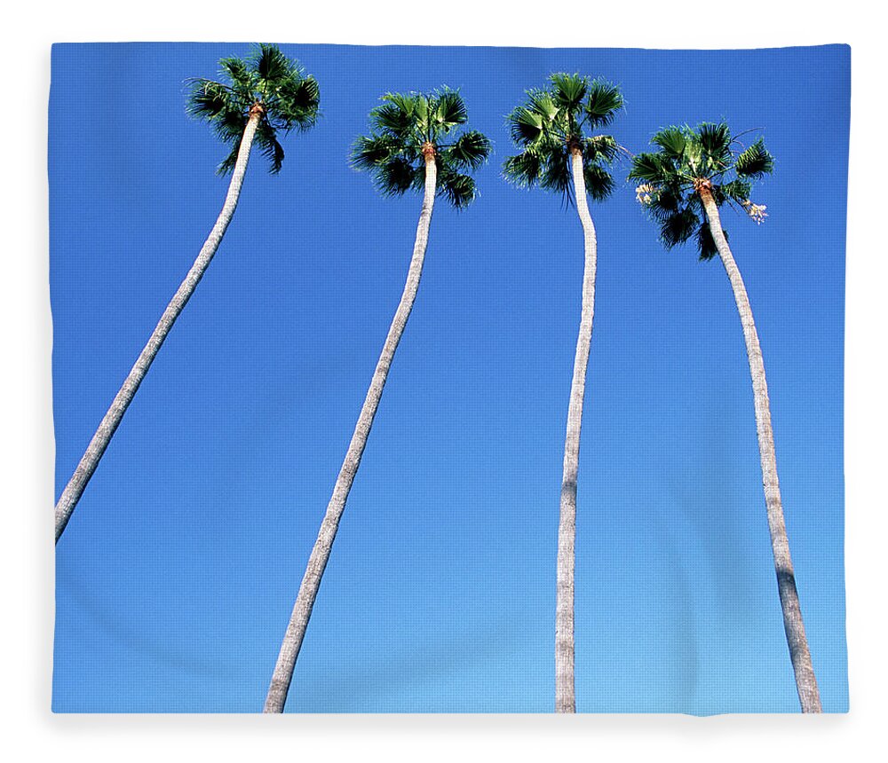 Hollywood Boulevard Fleece Blanket featuring the photograph Palm Trees Lining Hollywood Boulevard by Hisham Ibrahim
