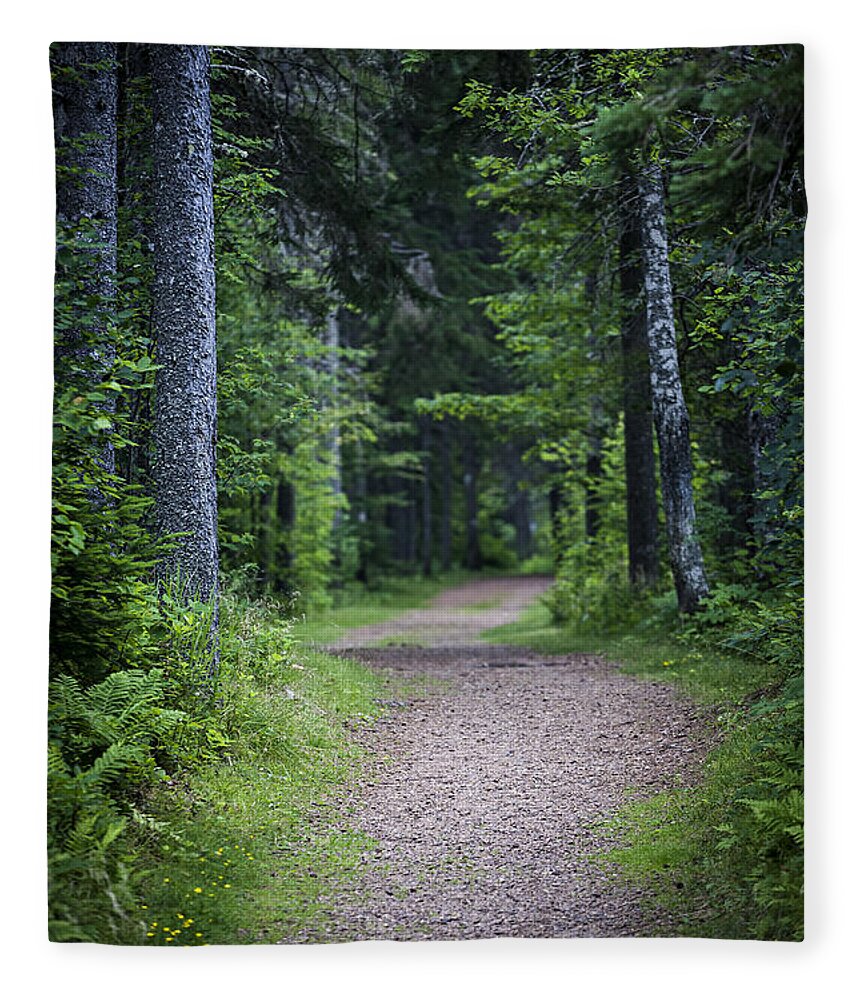 Path Fleece Blanket featuring the photograph Path in dark forest 2 by Elena Elisseeva