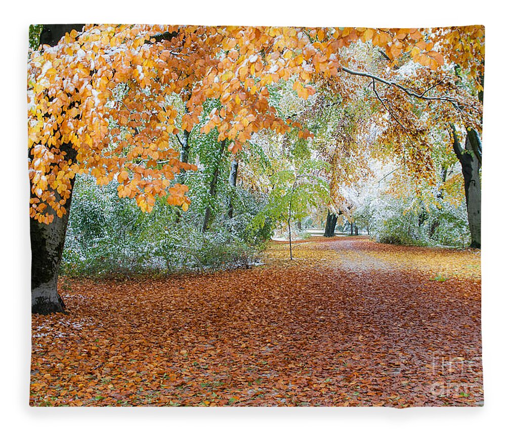 Autumn Fleece Blanket featuring the photograph Path Trough The Fall by Hannes Cmarits