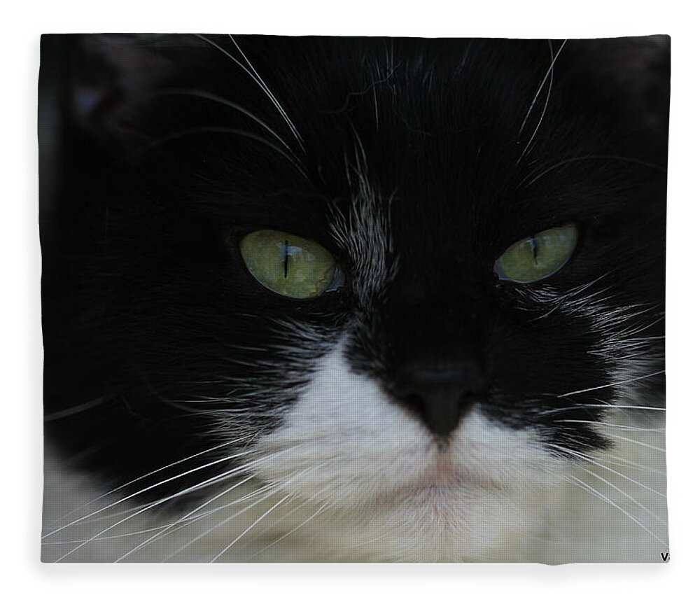 Tuxedo Fleece Blanket featuring the photograph Green Eyes of a Tuxedo Cat by Valerie Collins