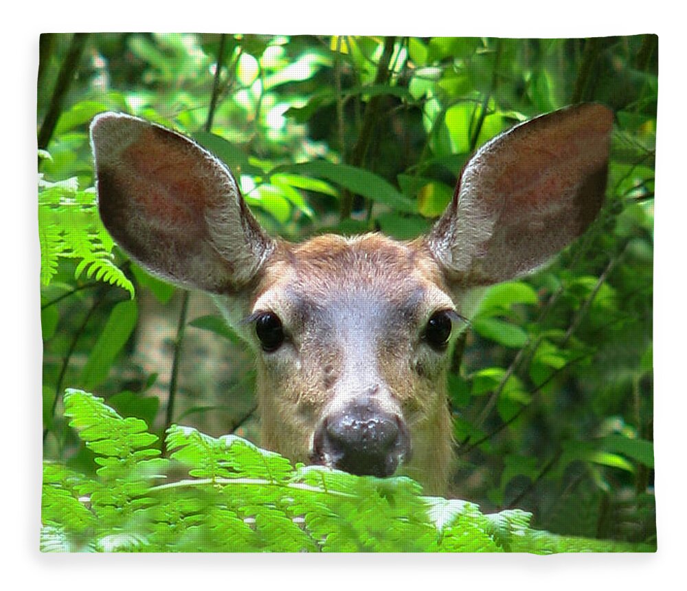 Wildlife Fleece Blanket featuring the photograph Peek-A-Boo by Rory Siegel