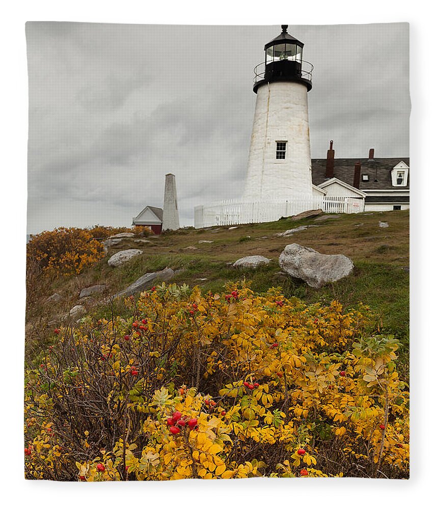 Lighthouse Fleece Blanket featuring the photograph Pemaquid Point Lighthouse and Sea Roses by David Smith