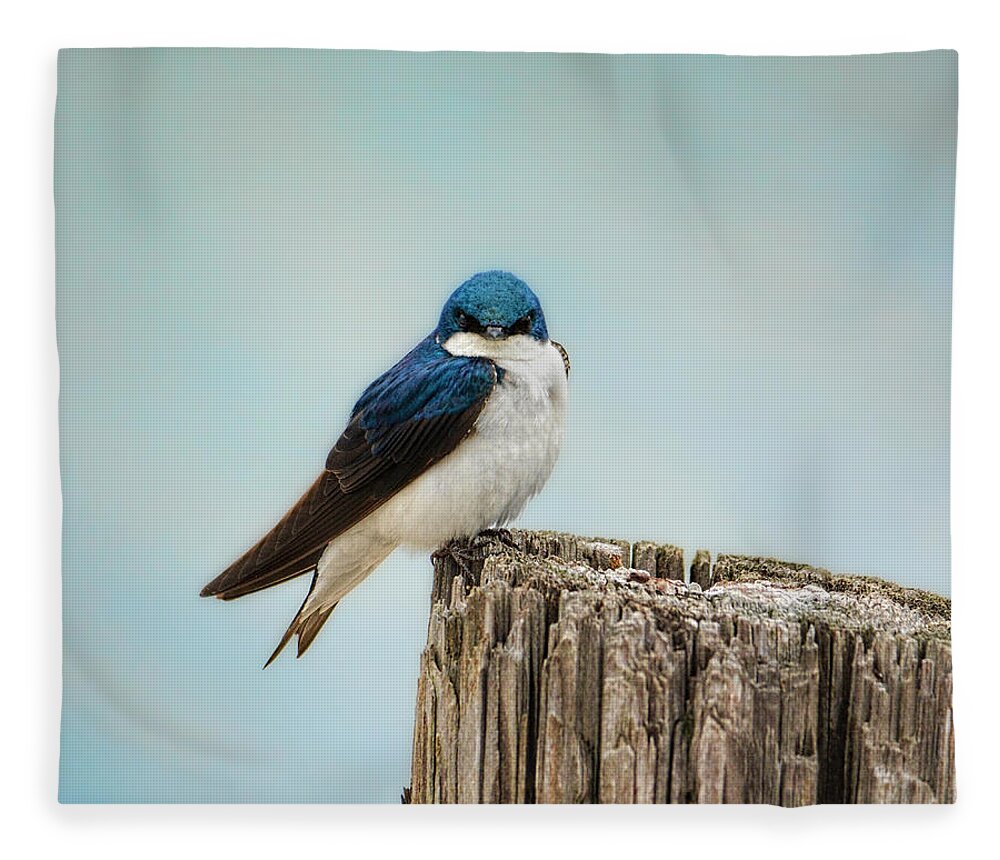 Bird Fleece Blanket featuring the photograph Perched and Waiting by Jai Johnson