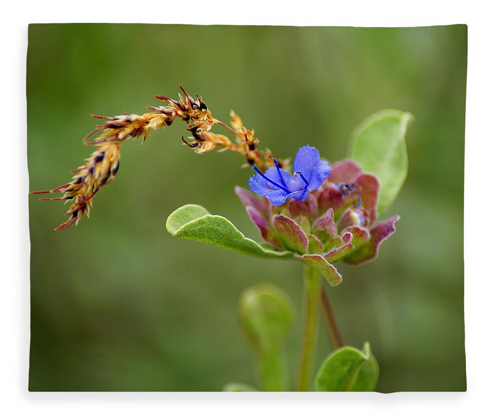 Flowers Fleece Blanket featuring the photograph Perfectly Wonderous Flowerland by Ben Upham III