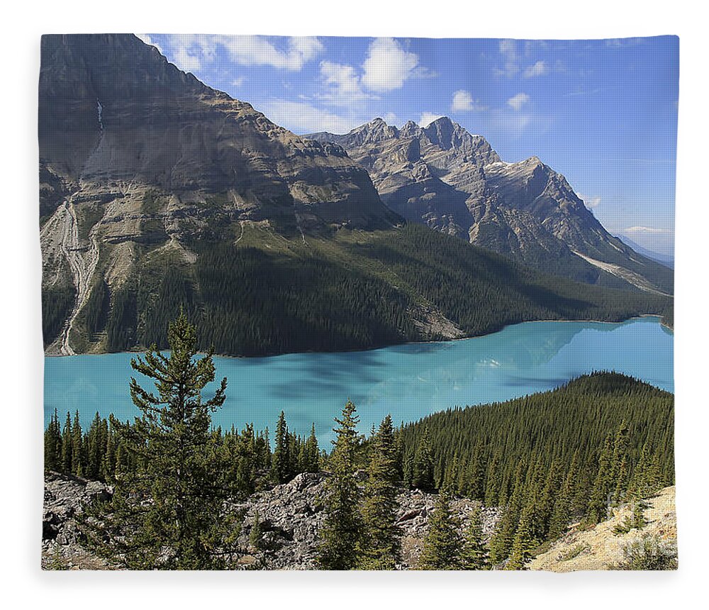 Peyto Lake Fleece Blanket featuring the photograph Peyto Lake Banff National Park by Teresa Zieba