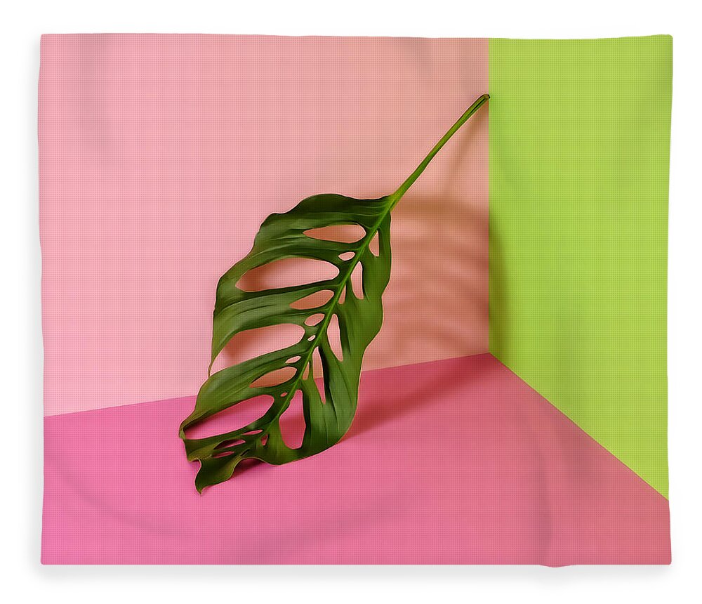 Sparse Fleece Blanket featuring the photograph Philodendron Leaf Leaning In Corner Of by Juj Winn