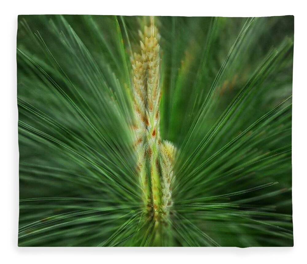 Pine Fleece Blanket featuring the photograph Pine Cone and Needles by Phyllis Meinke